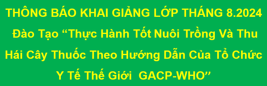 THÔNG BÁO TUYỂN SINH LỚP ĐÀO TẠO GACP - WHO THÁNG 8 -NĂM 2024